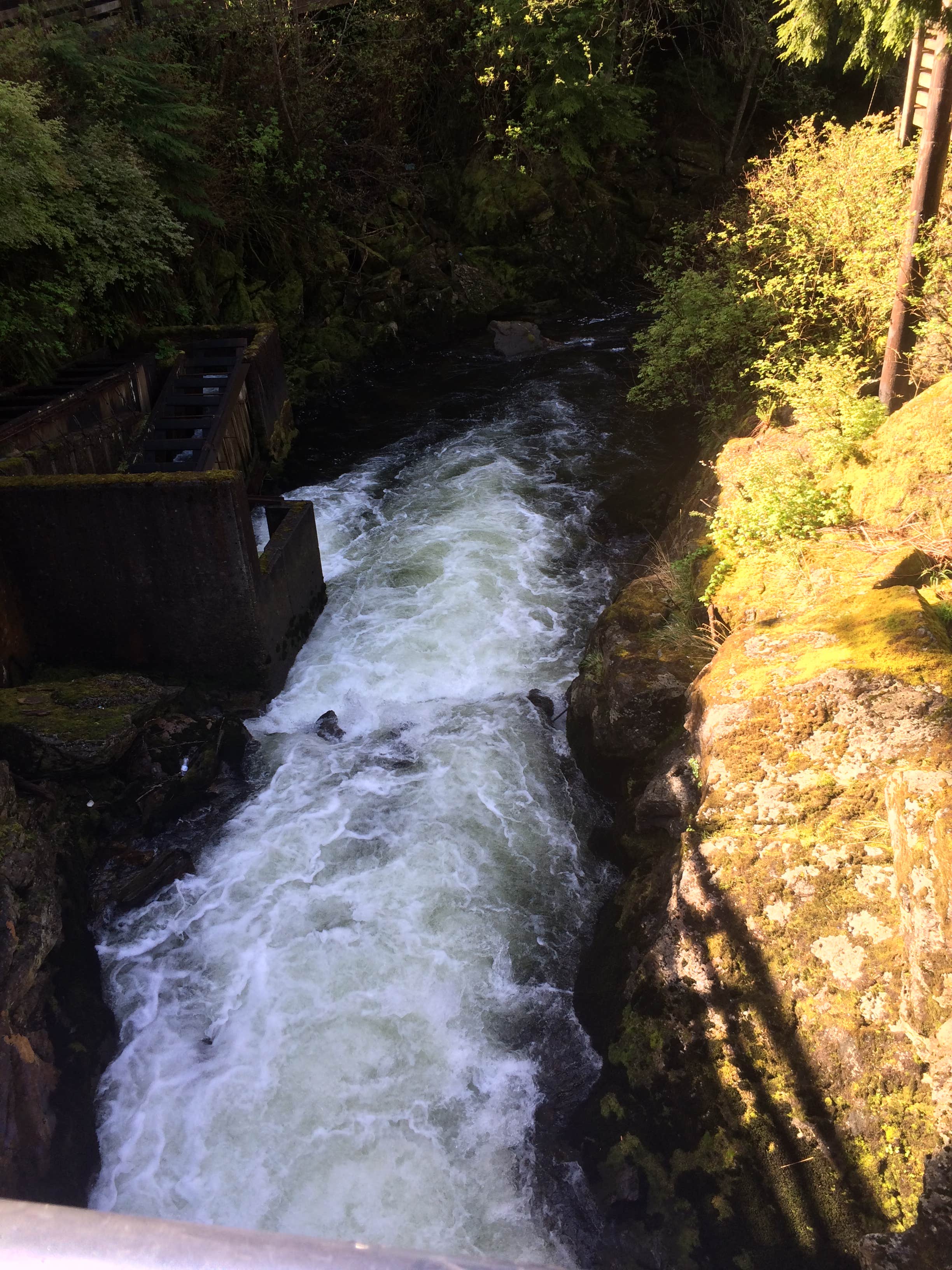 Camper-submitted photo at Signal Creek Campground near Ketchikan, AK