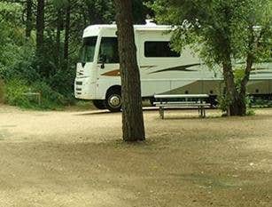 Camper submitted image from Lone Duck Campground and Cabins - 1