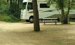 Camping near Crags Campground: Lone Duck Campground and Cabins, Green Mountain Falls, Colorado