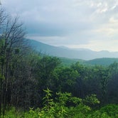 Review photo of Elkmont Campground — Great Smoky Mountains National Park by Emma M., October 31, 2018