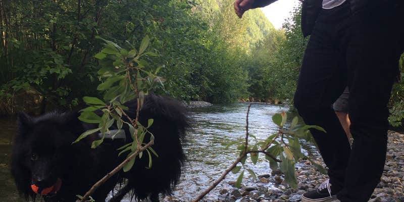 Camper submitted image from Pullen Creek and RV Park