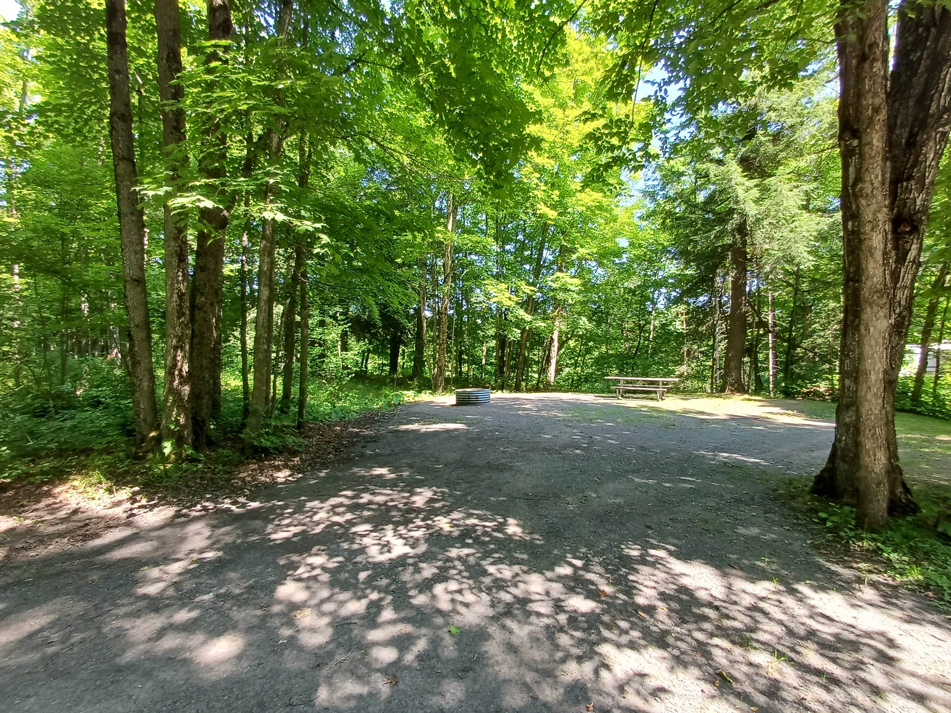 Camper submitted image from Big Erics Bridge State Forest Campground - 3