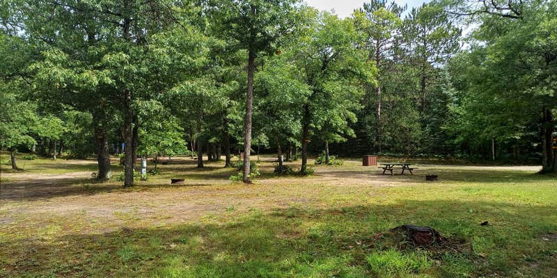 Camper submitted image from Vagabond Resort and Campground