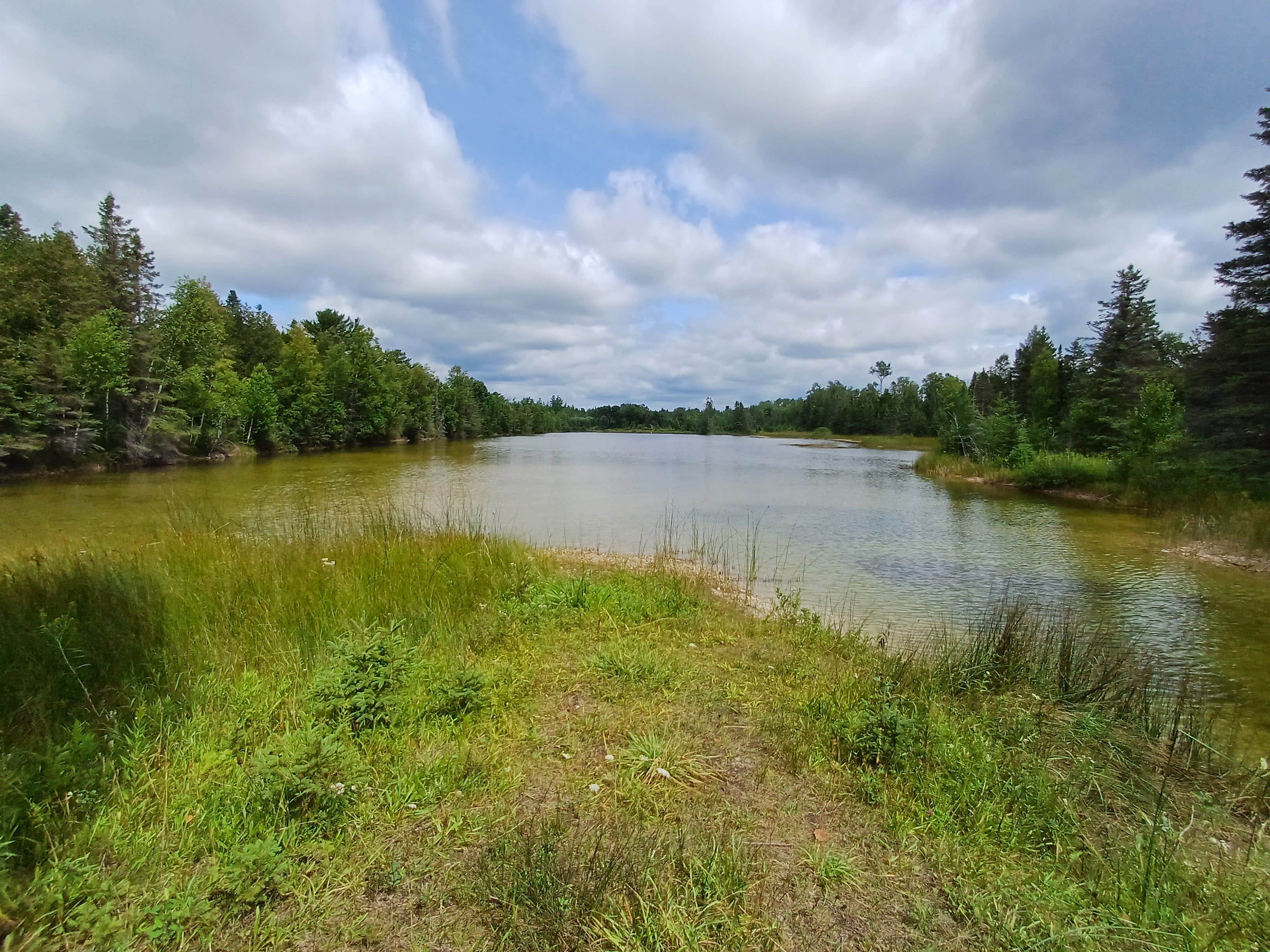 Laura M.'s photo of a dispersed camping area at Search Bay Dispersed near Brutus, MI