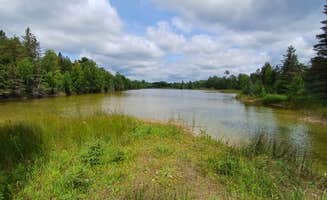 Laura M.'s photo of a dispersed camping area at Search Bay Dispersed near Conway, MI