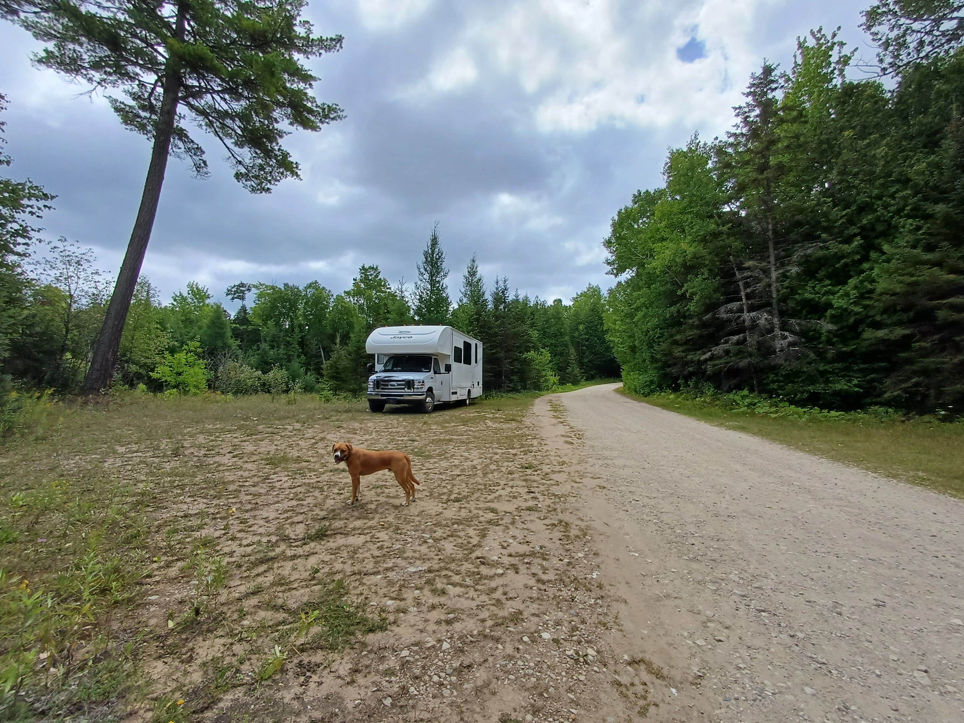 Laura M.'s photo of camping with pets at Search Bay Dispersed near Sault Ste. Marie, MI