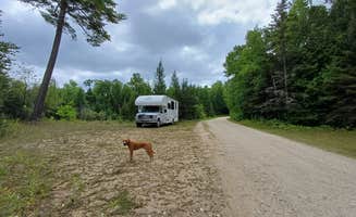 Laura M.'s photo of camping with pets at Search Bay Dispersed near Rudyard, MI