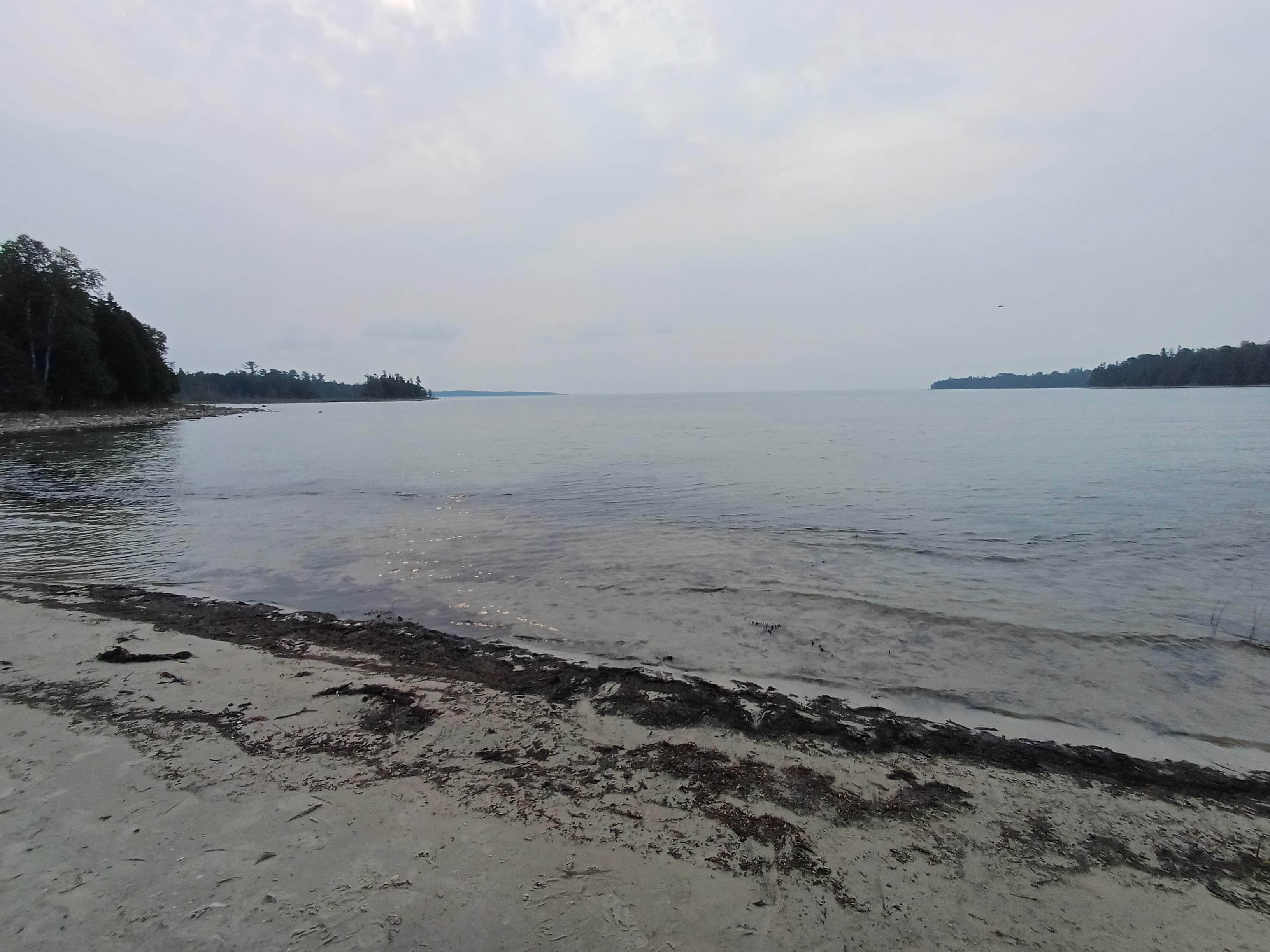 Laura M.'s photo of a dispersed camping area at Search Bay Dispersed near Alanson, MI
