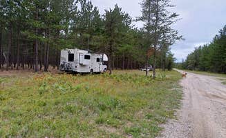 Laura M.'s photo of camping with pets at USFS 3536 Dispersed Site near Rudyard, MI