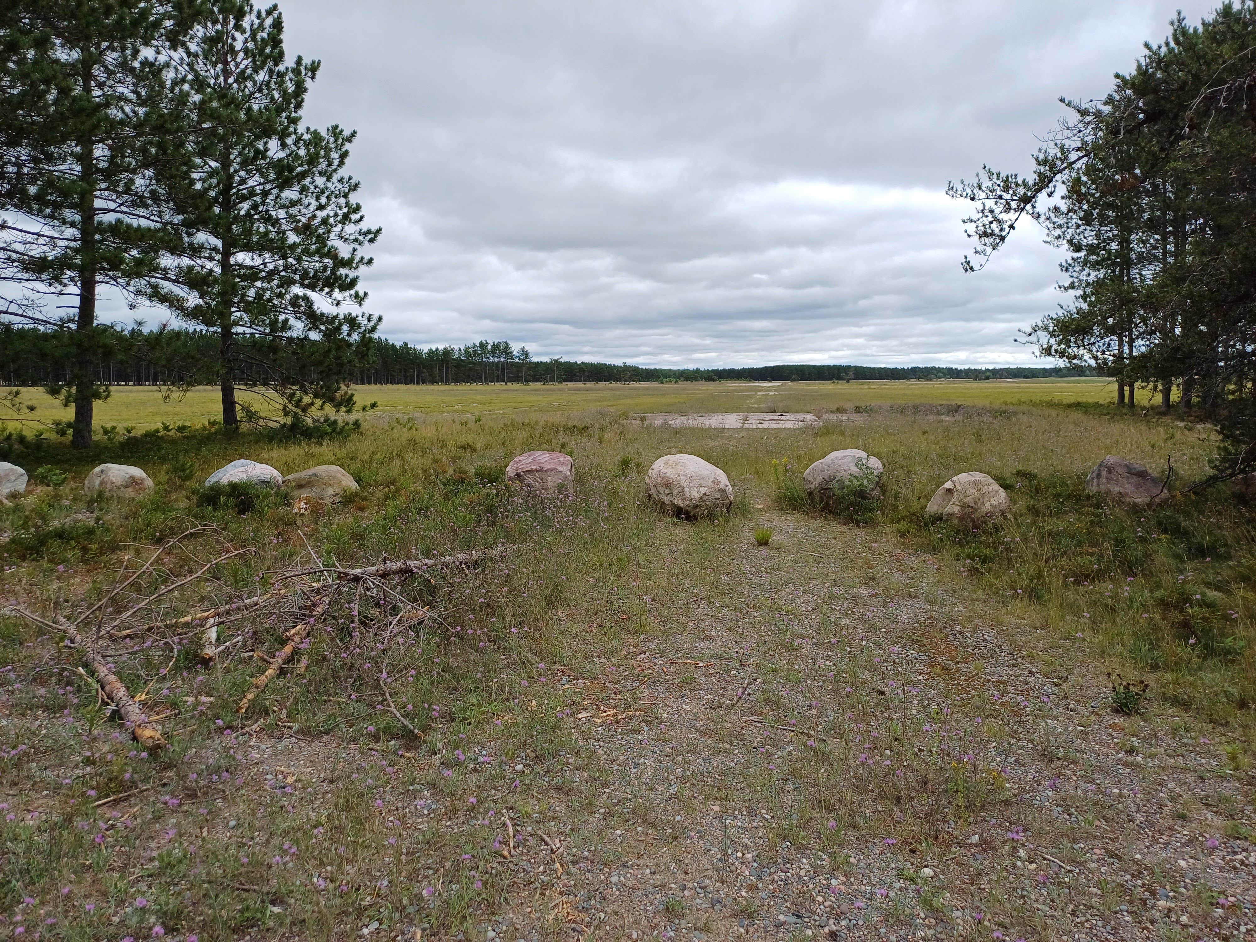 Camper-submitted photo at USFS 3536 Dispersed Site near Eckerman, MI