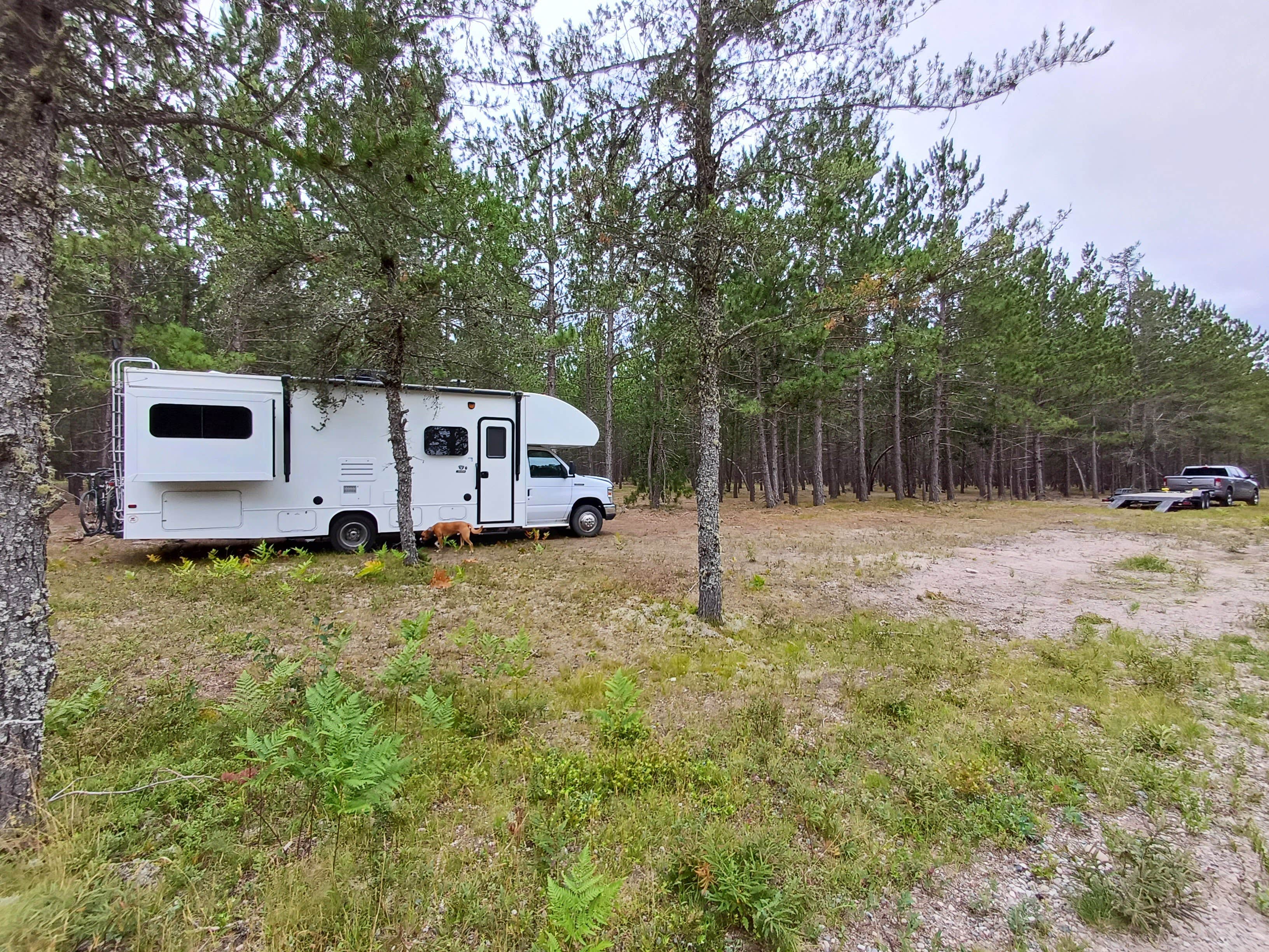 Camper-submitted photo at USFS 3536 Dispersed Site near Eckerman, MI