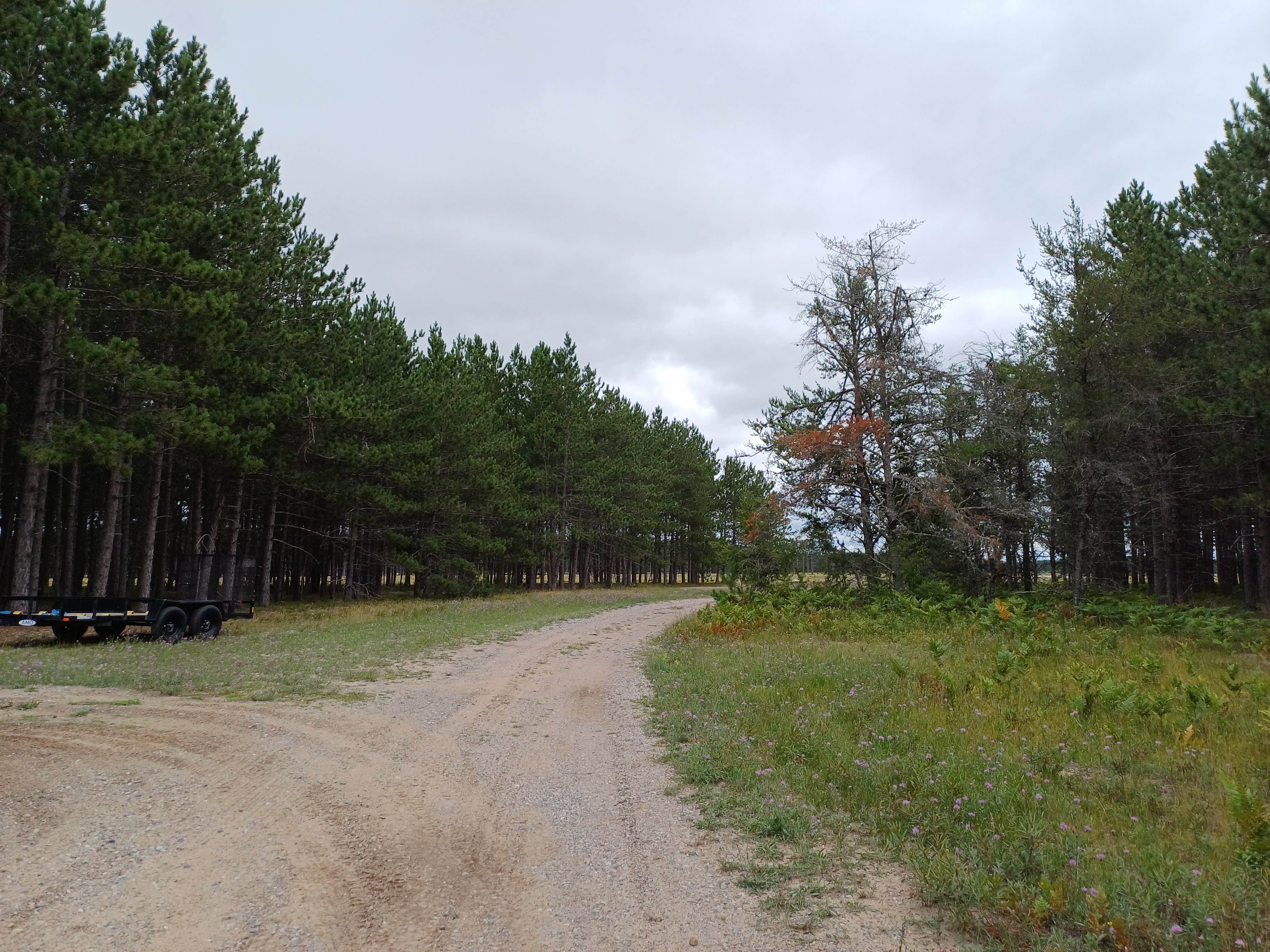 Camper-submitted photo at USFS 3536 Dispersed Site near Eckerman, MI