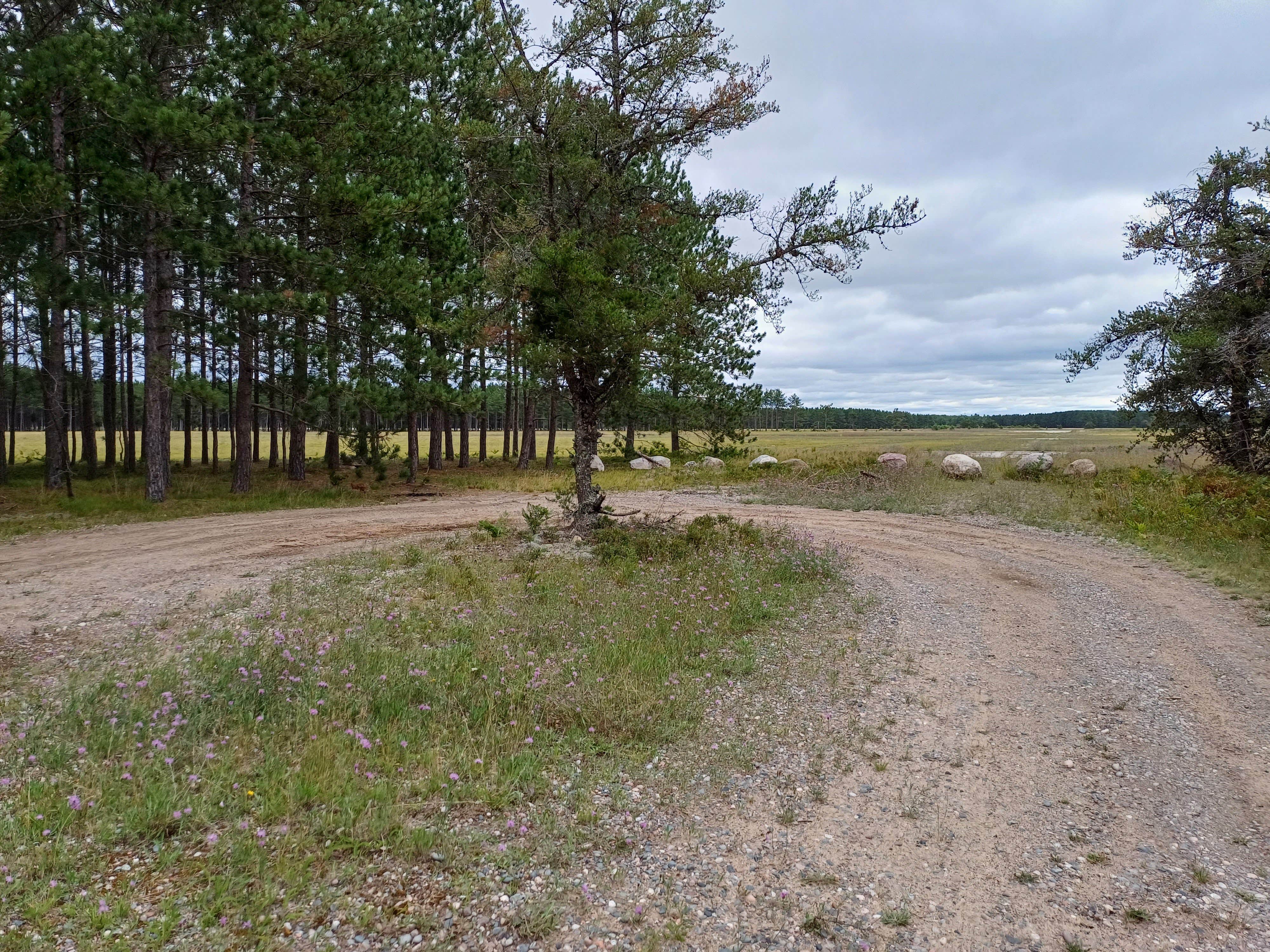 Camper-submitted photo at USFS 3536 Dispersed Site near Eckerman, MI