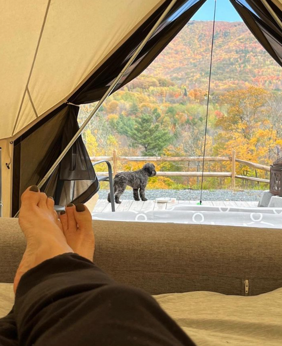 Camper-submitted photo at Piebald Mountain near Glenmont, NY
