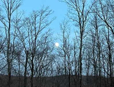 Camper-submitted photo at Piebald Mountain near Glenmont, NY