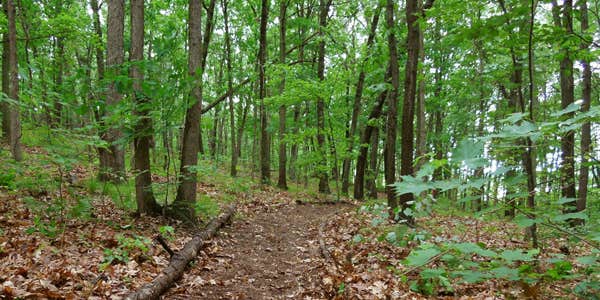 Camper submitted image from Bluestem Lake - 2