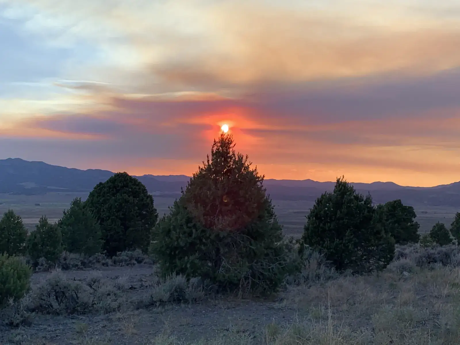 Camper-submitted photo at Raven's Nest Utah Campground near Cannonville, UT