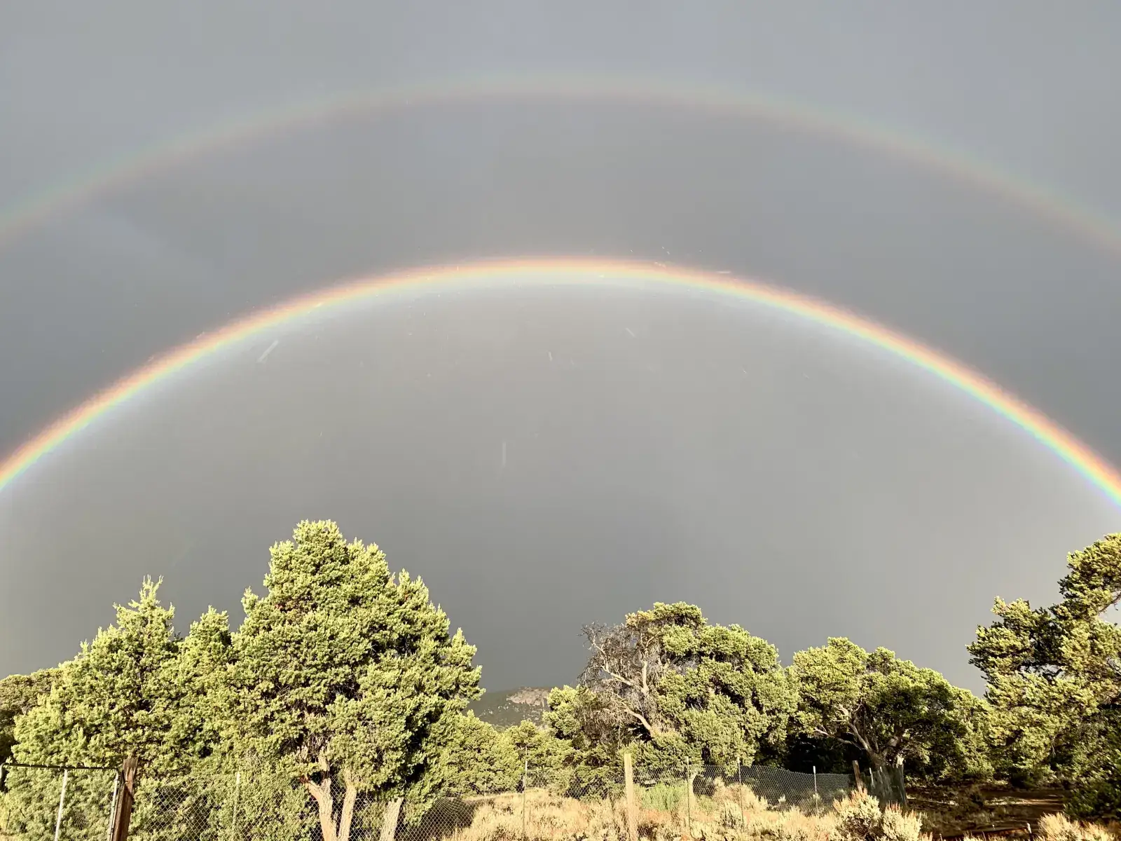Camper-submitted photo at Raven's Nest Utah Campground near Cannonville, UT
