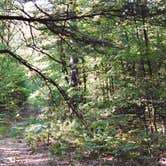 Review photo of Bluestem Lake by Analia F., October 31, 2018