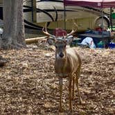 Review photo of Lake Pointe Resort by Dirk B., October 8, 2023