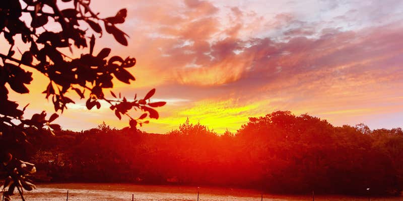 Camper submitted image from Lake Pointe Resort