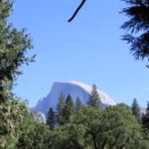 Review photo of Camp 4 — Yosemite National Park by Megan C., October 8, 2023