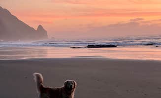 Rebecca H.'s photo of camping with pets at Whispering Tides near Yachats, OR