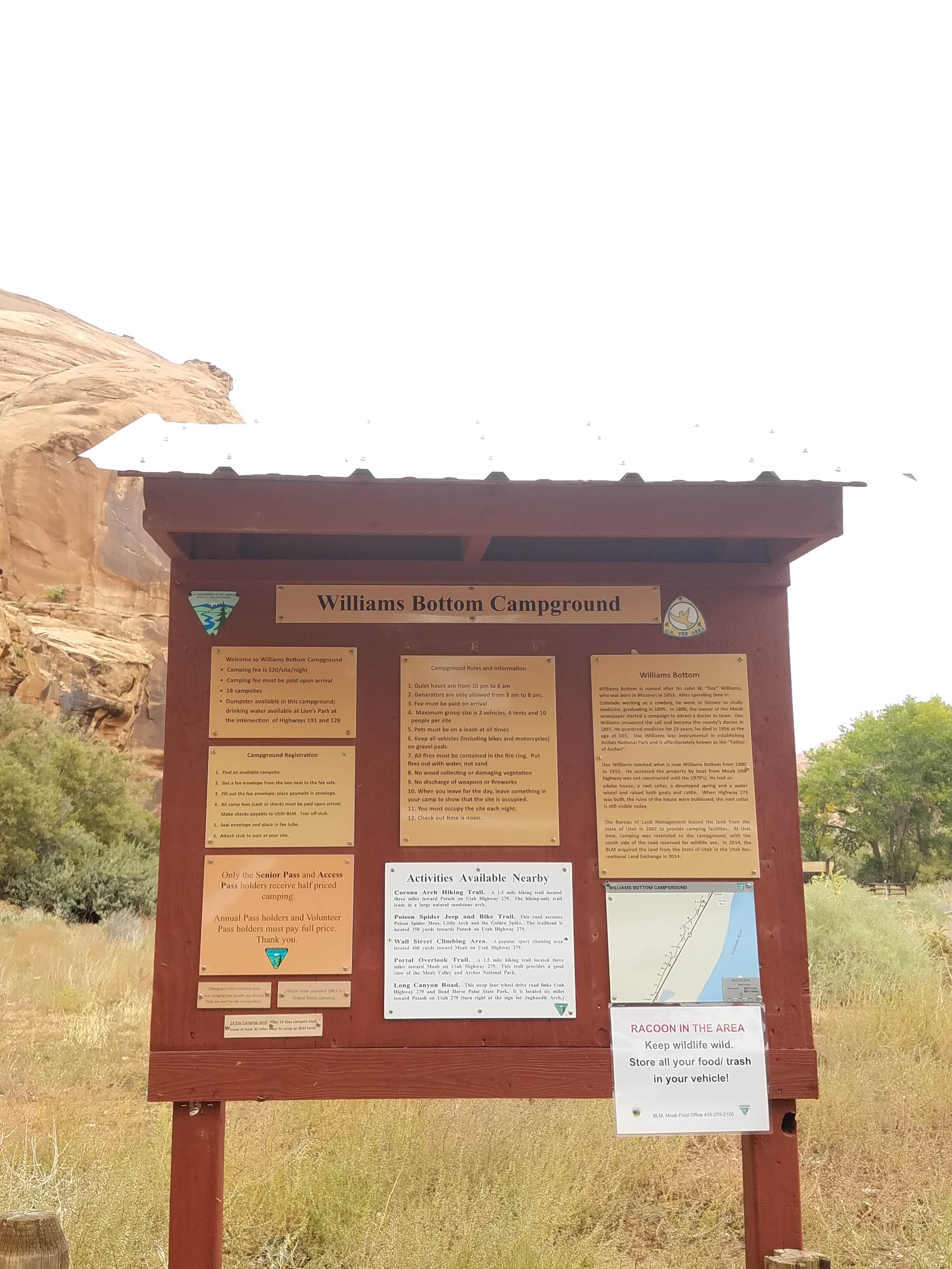 Camper-submitted photo at Williams Bottom Campground near Moab, UT