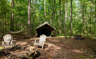 The Dyrt's photo at Wanderland Campground near White Oak, GA