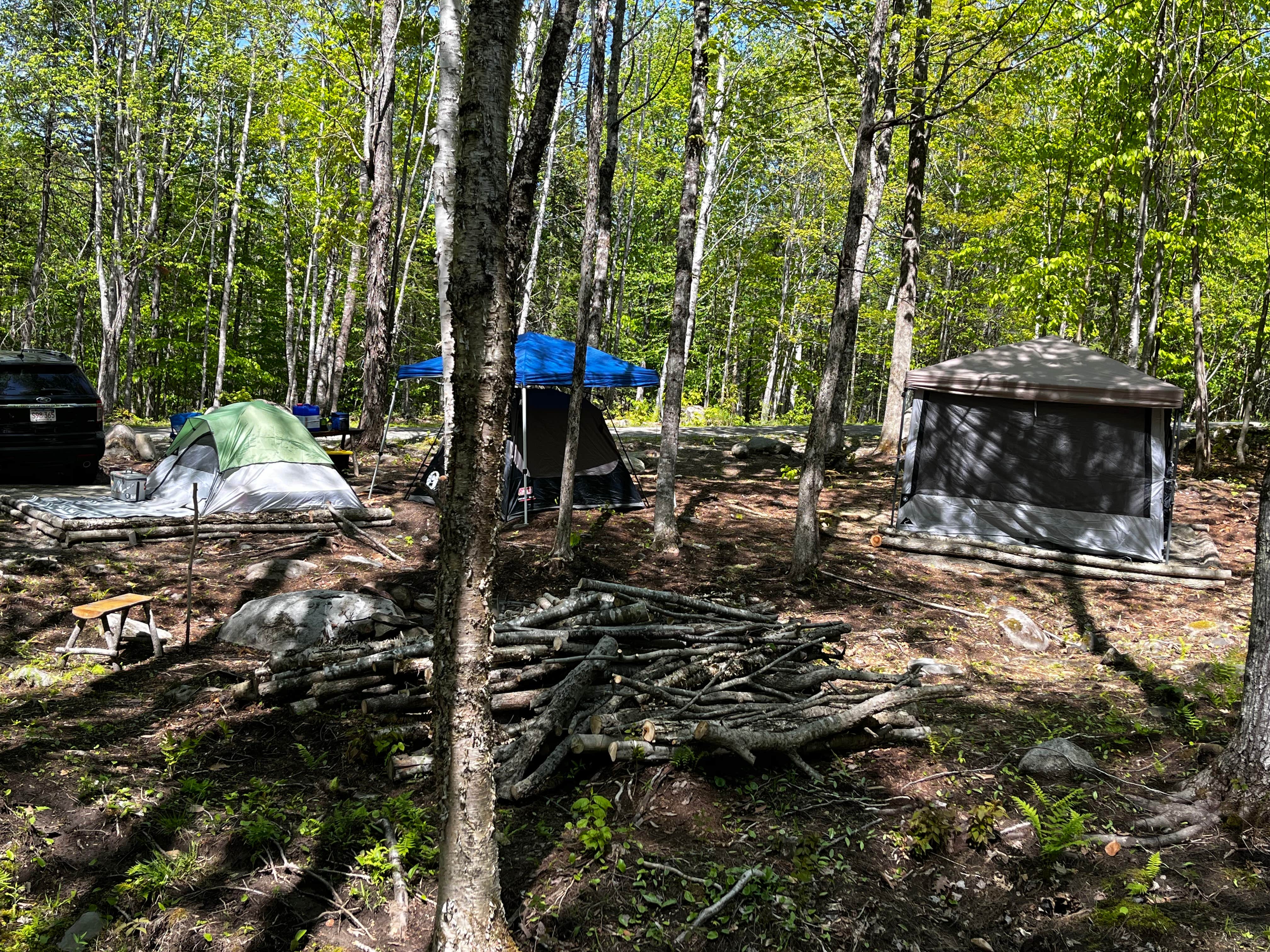 Hendricks S.'s photo of tent camping at Soul Retrieve-Hill near Otis, ME