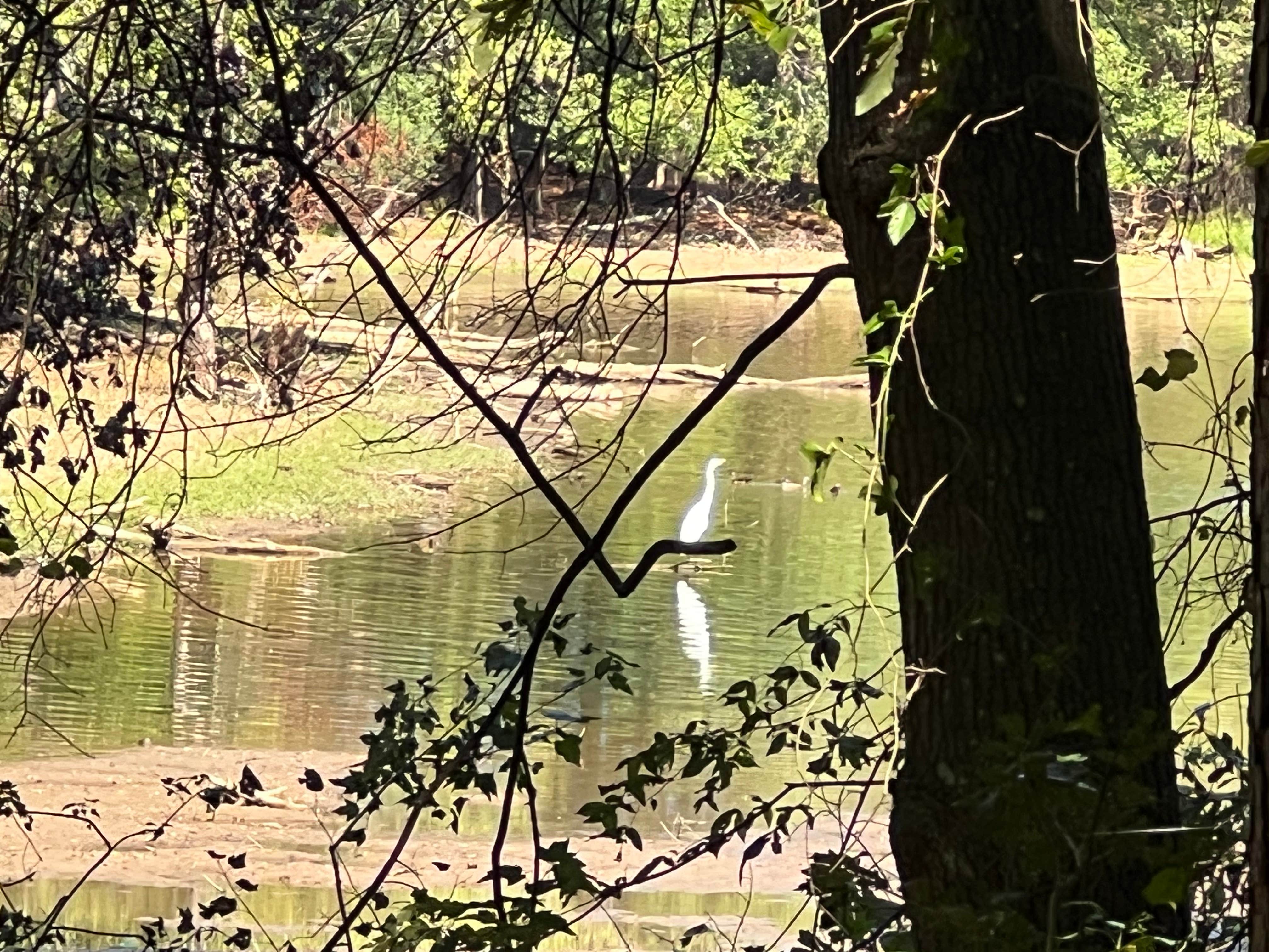 Camper-submitted photo at Prices Bridge Glampsite near Lexington, SC