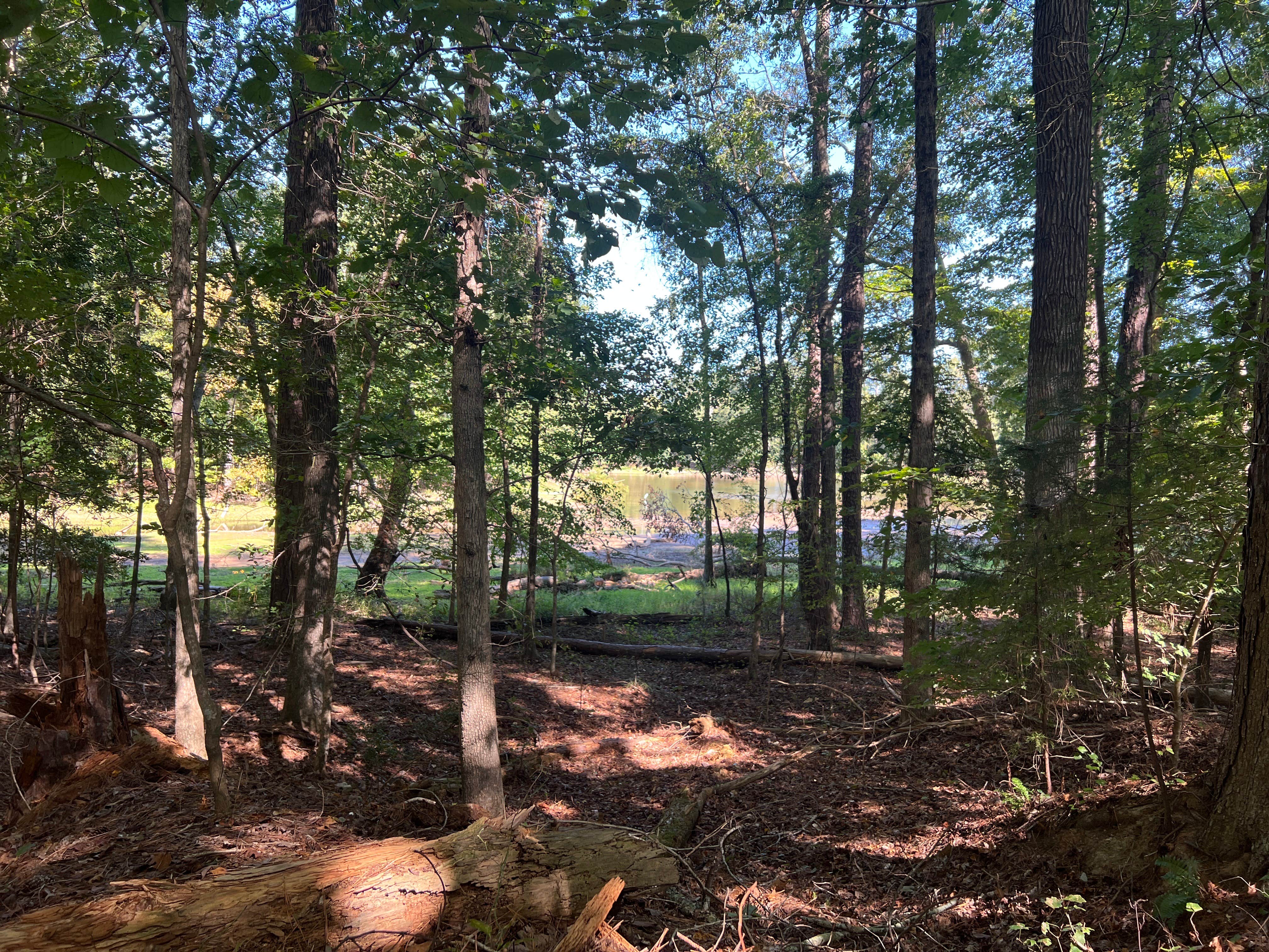 Camper-submitted photo at Prices Bridge Glampsite near Prosperity, SC