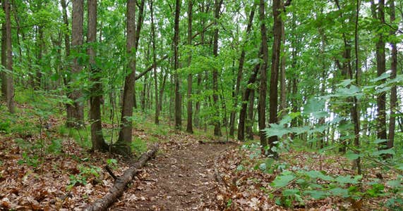 Bluestem Lake Camping | Pawhuska, OK