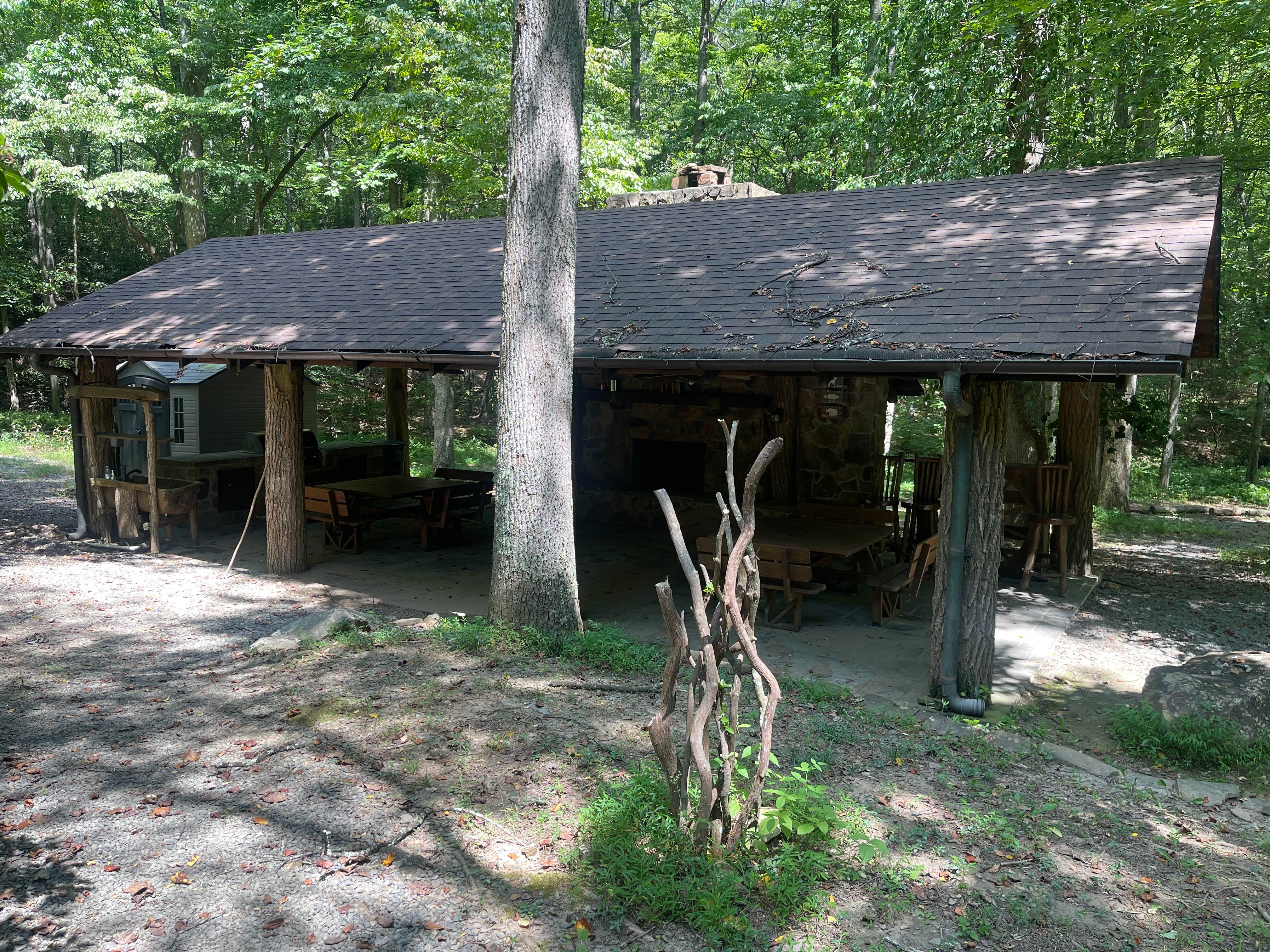 Carolyn S.'s photo of a cabin at Fall Getaway for up to 15 people at the Private, Tri-mountain Retreat in Beautiful Ellijay, Georgia near Cumming, GA