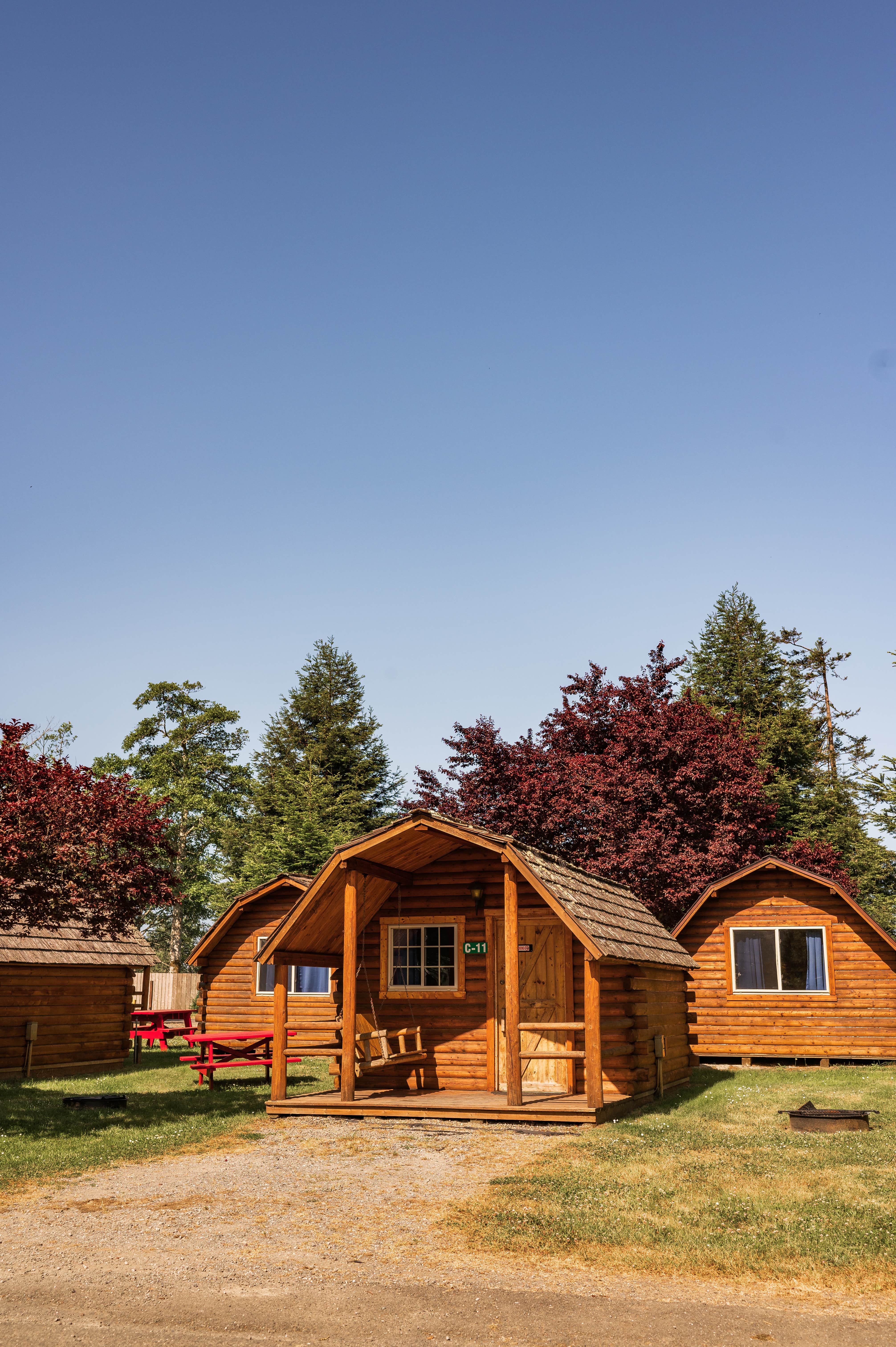 Alec Z.'s photo of glamping accommodations at Redwood Coast Cabins & RV Resort near Arcata, CA