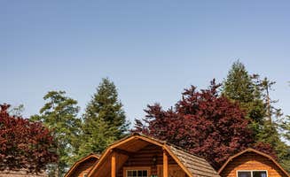 Alec Z.'s photo of glamping accommodations at Redwood Coast Cabins & RV Resort near Redwood National Park