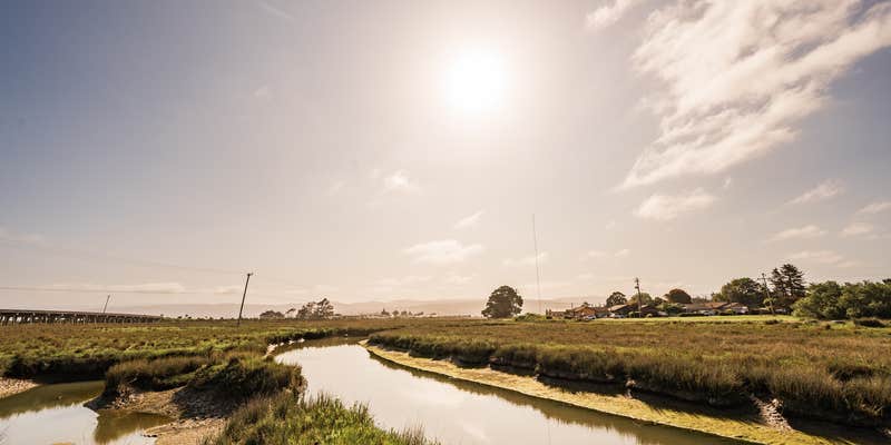 Camper submitted image from Shoreline RV Park