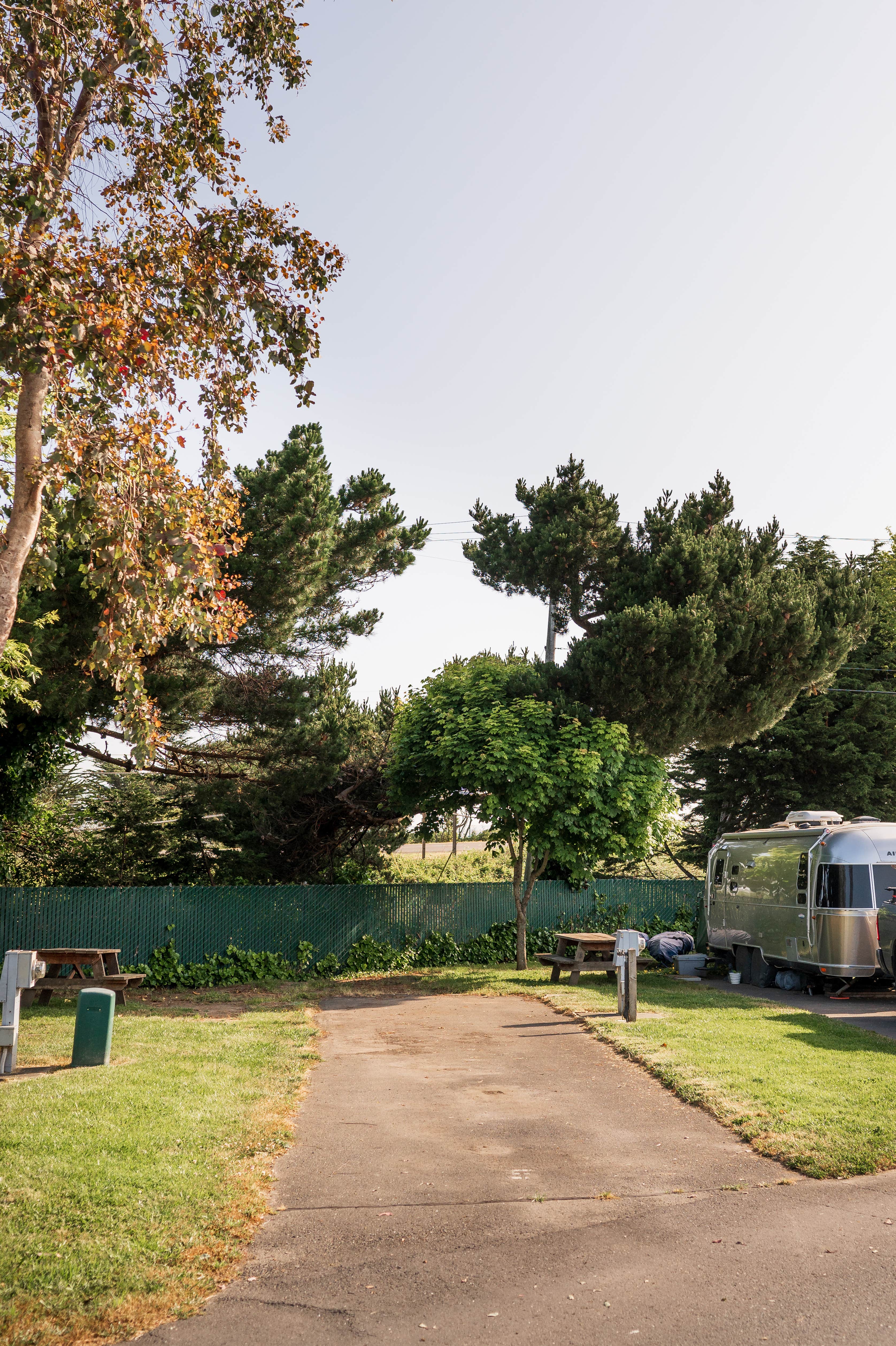 Alec Z.'s photo of rv camping at Coastal Pines RV Park near Eureka, CA