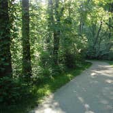 Review photo of Colville National Forest Panhandle Campground by Adeline T., October 31, 2018