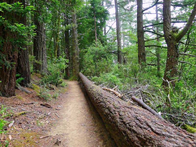 Camper-submitted photo at Sheridan near Red Lodge, MT