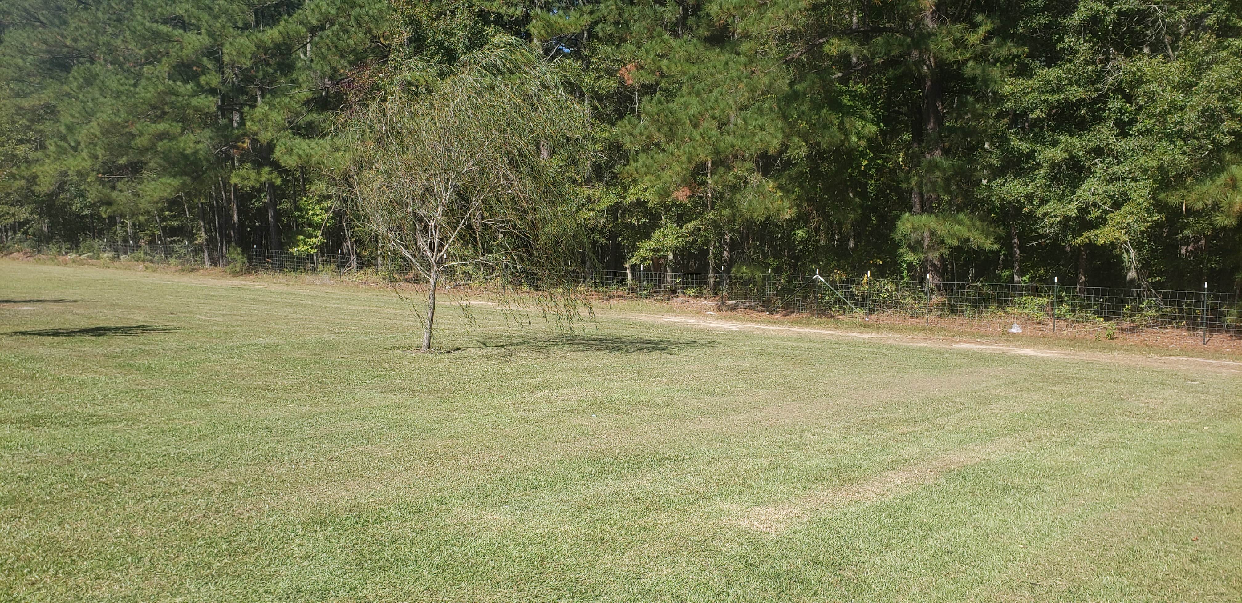 Camper-submitted photo at Country Lane near Darlington, SC