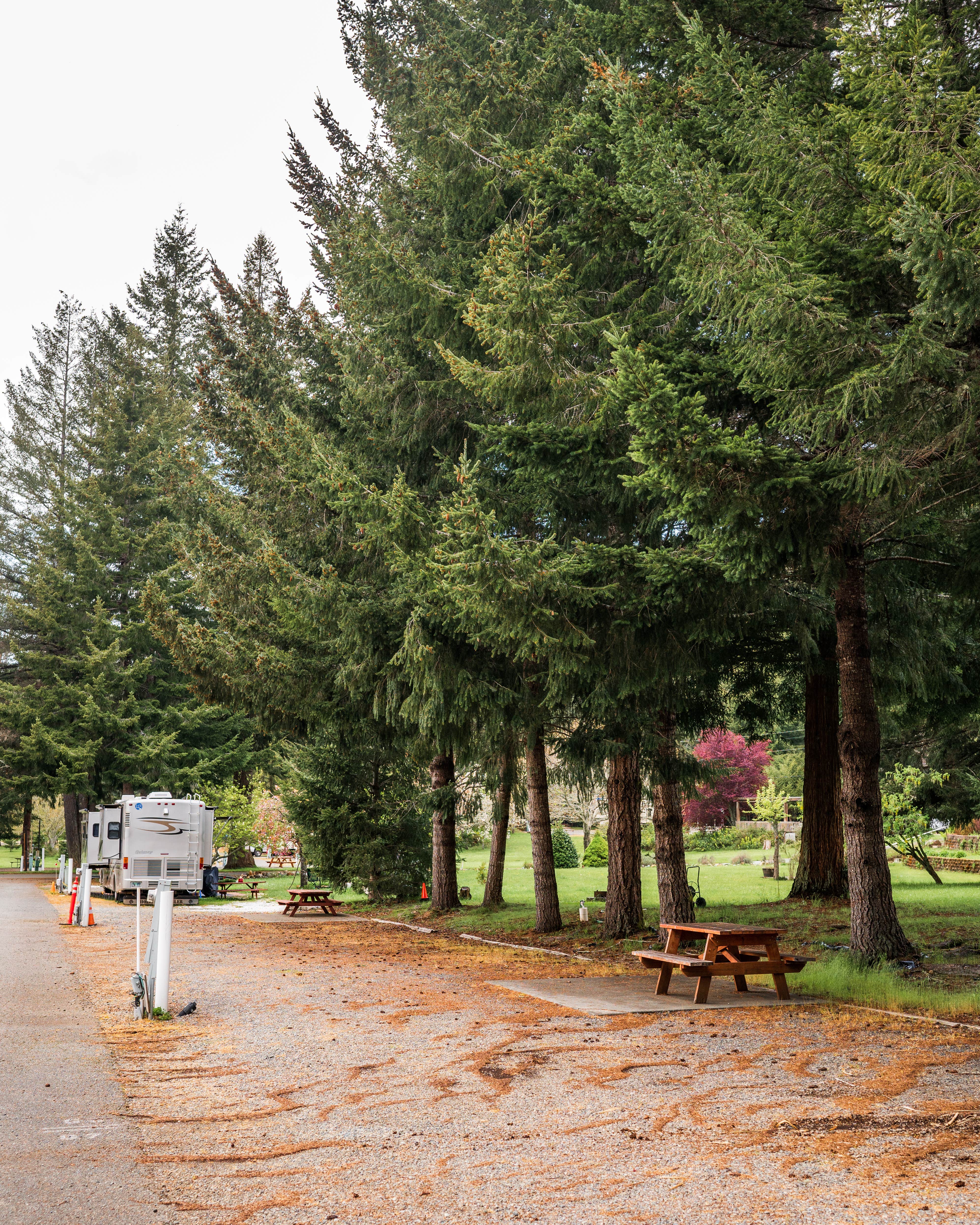 Camper-submitted photo at Redwood Meadows RV Resort near Smith River, CA