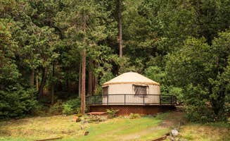 Alec Z.'s photo of a cabin at Redwood Meadows RV Resort near Orick, CA