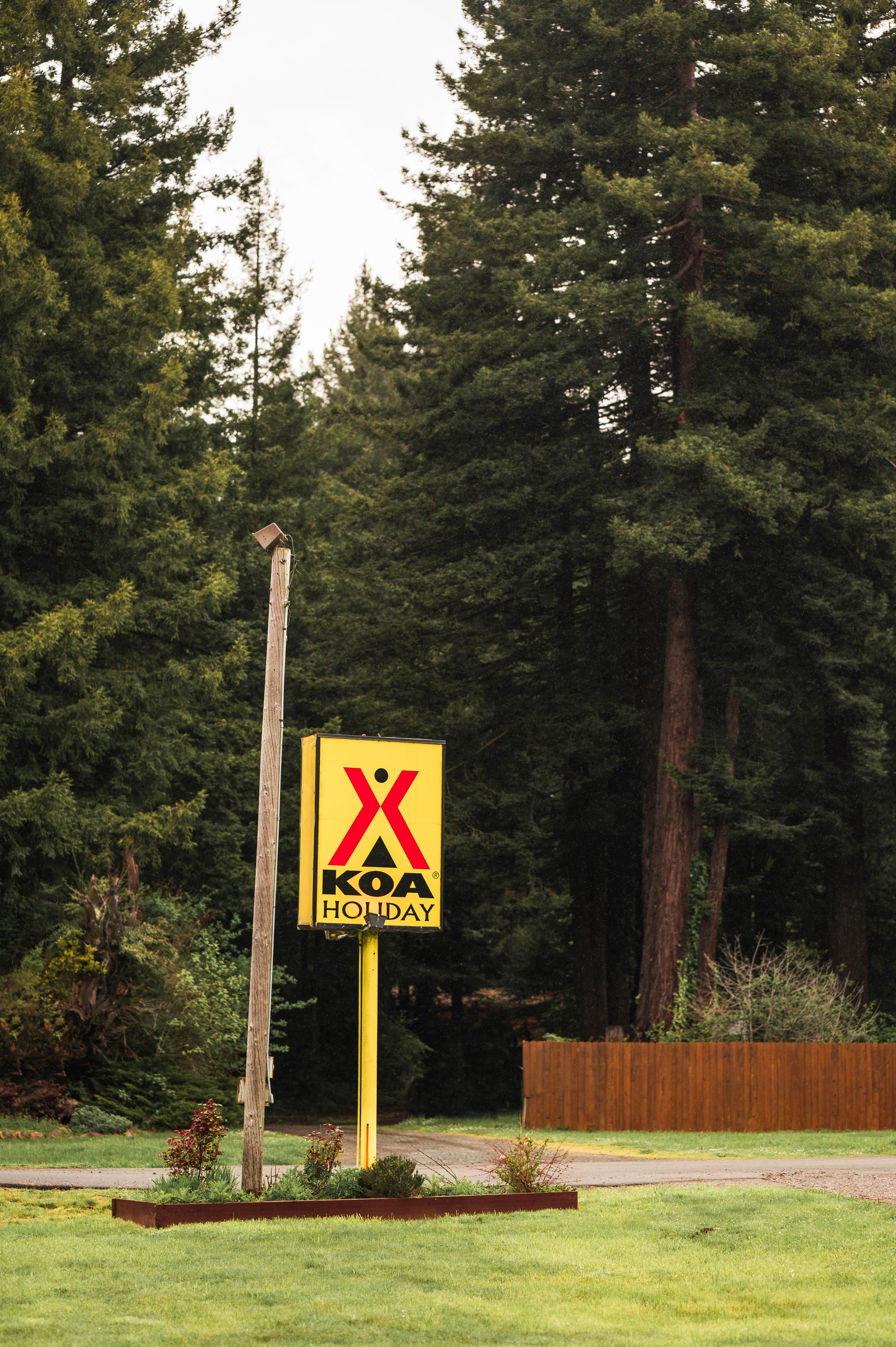 Camper submitted image from Crescent City/Redwoods KOA - 1
