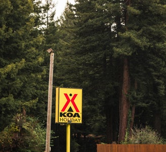 Camper-submitted photo from Crescent City/Redwoods KOA