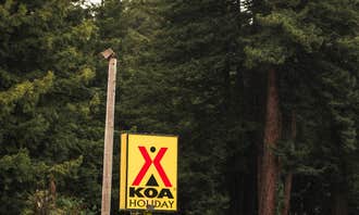 Camping near Nickel Creek - Redwood National and State Park - TEMPORARILY CLOSED: Crescent City/Redwoods KOA, Crescent City, California