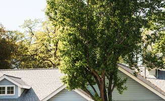 Alec Z.'s photo of camping with pets at Mountain Gate RV Park near Whiskeytown National Recreation Area