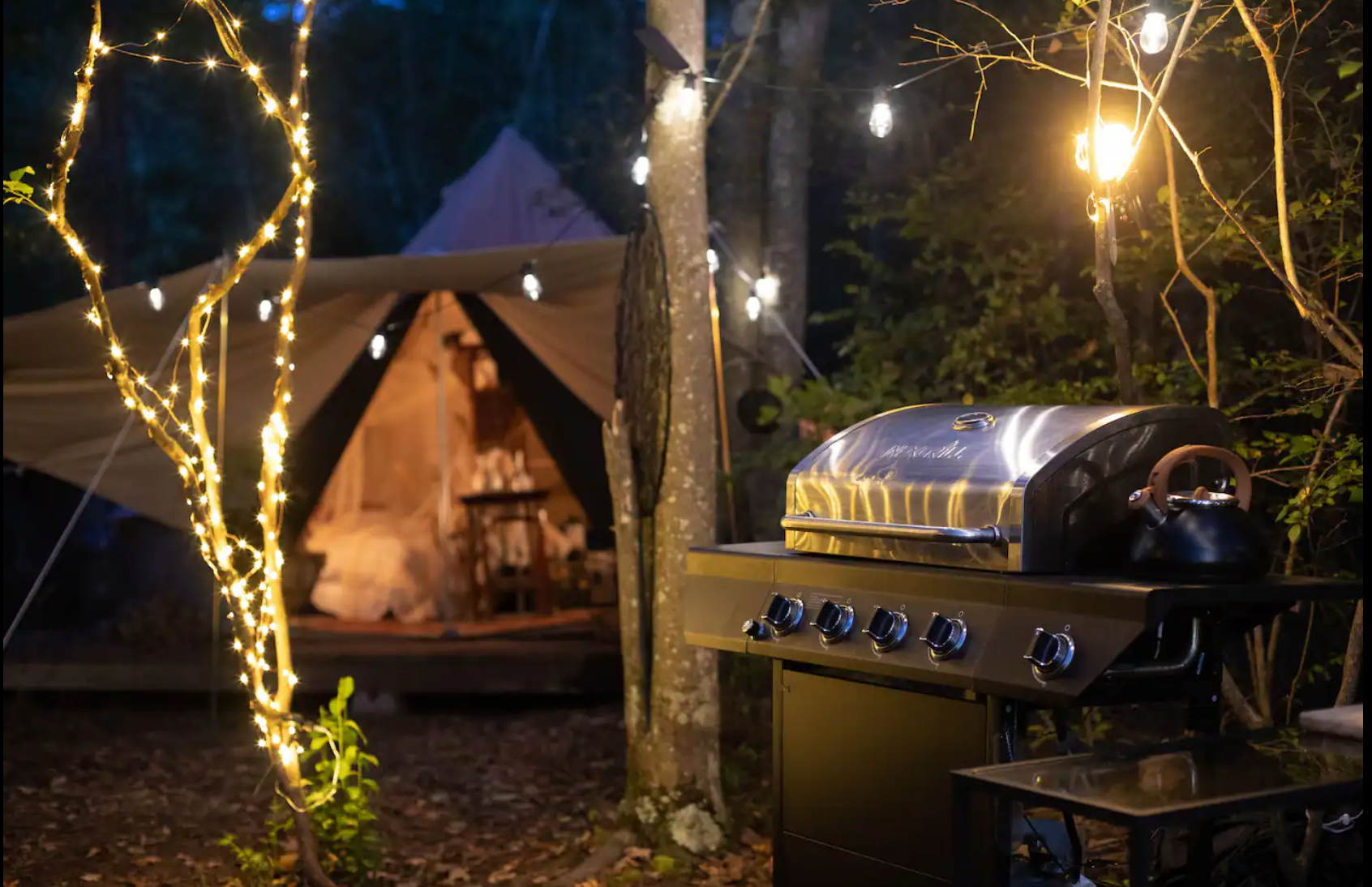 Ashley F.'s photo at Year-Round Scenic Lakefront Glamping near Liberty, NY