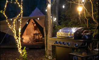 Ashley F.'s photo at Year-Round Scenic Lakefront Glamping near Liberty, NY