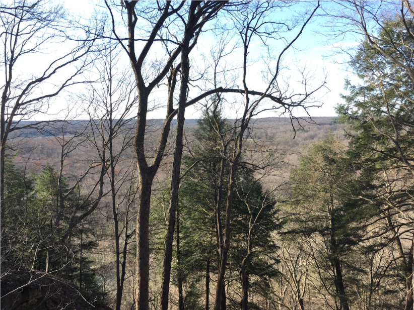 Camper-submitted photo at Sylco near Eton, GA